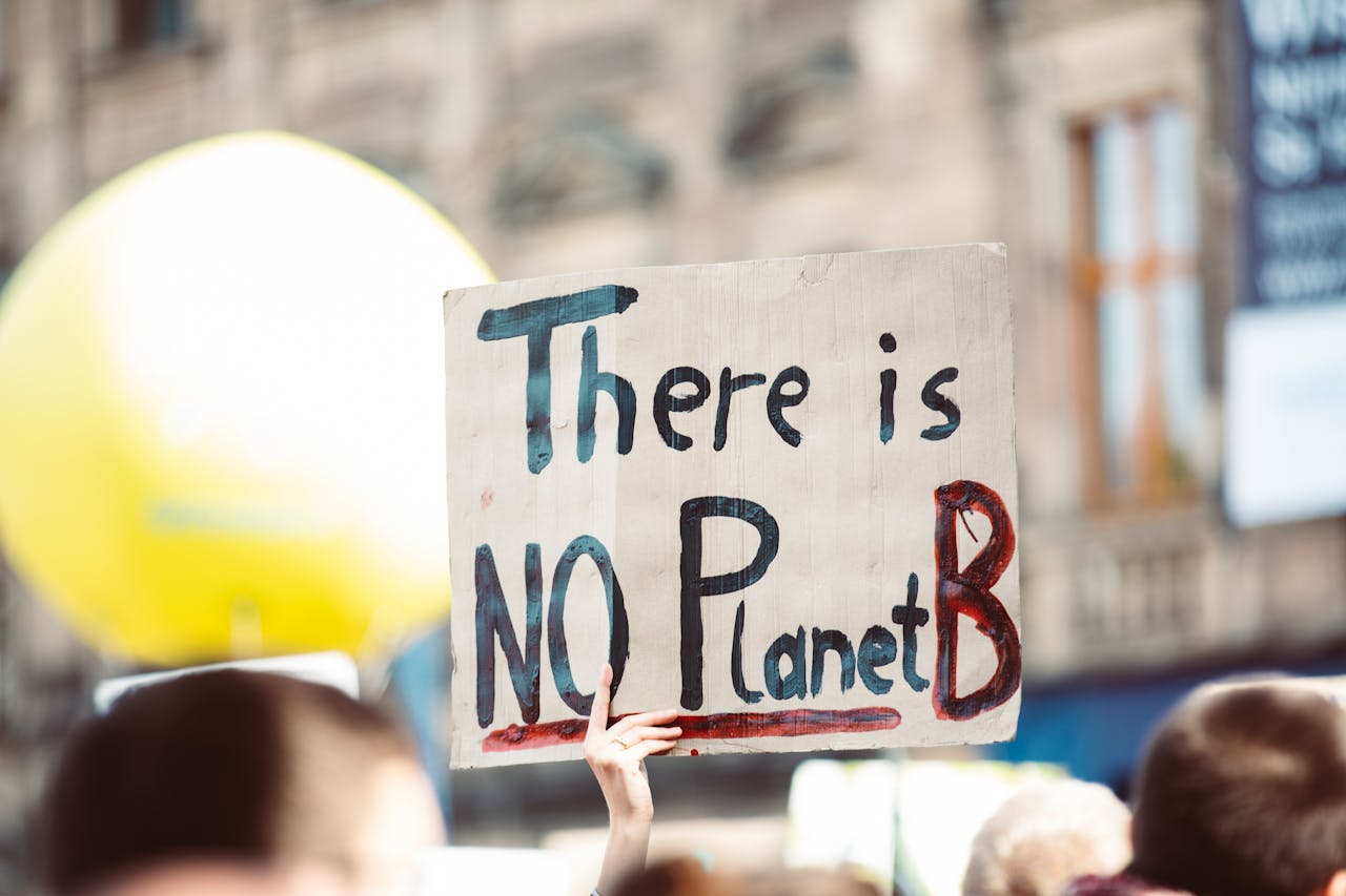 journey Protest sign at climate change rally reading 'There is no Planet B'.